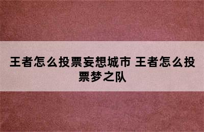 王者怎么投票妄想城市 王者怎么投票梦之队